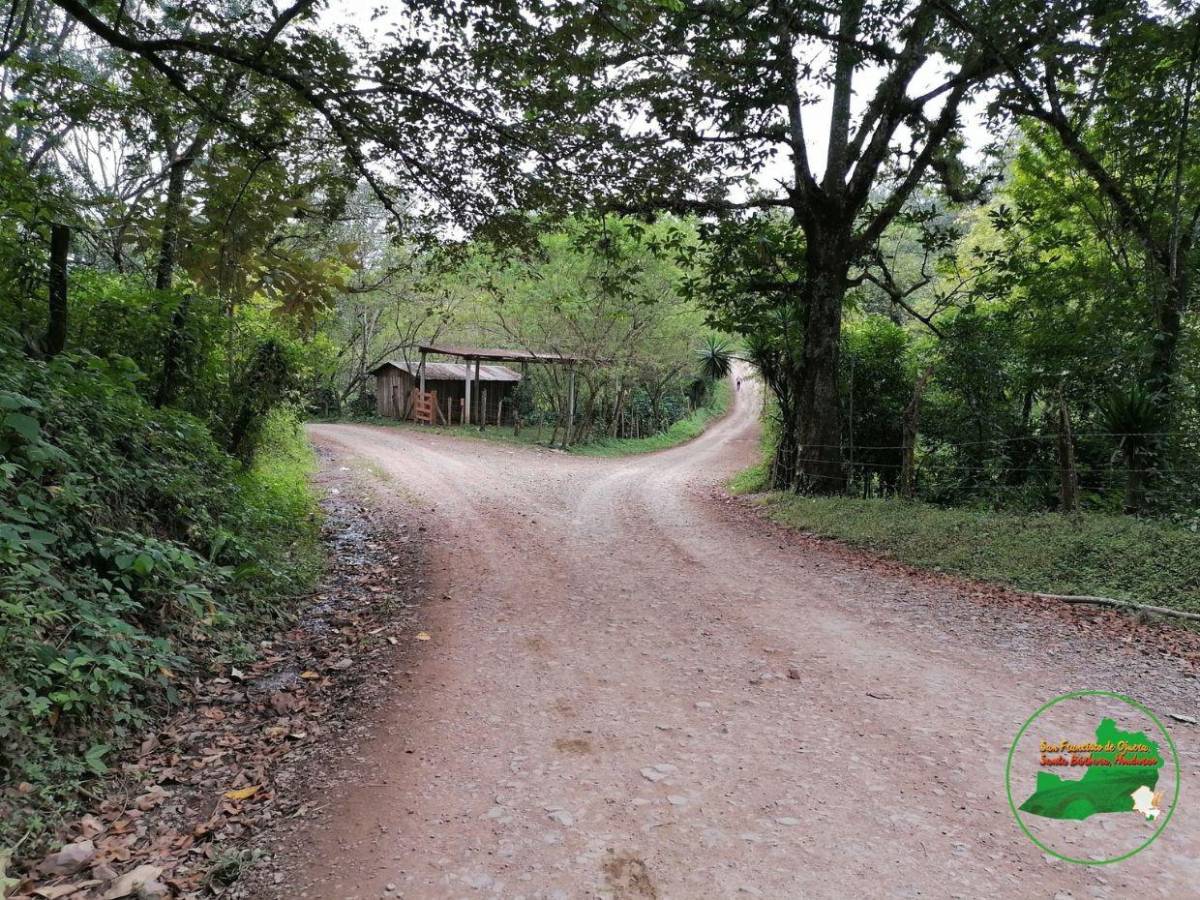 Hombres armados lo interceptaron: así fue el rapto del candidato a diputado Mario Reyes