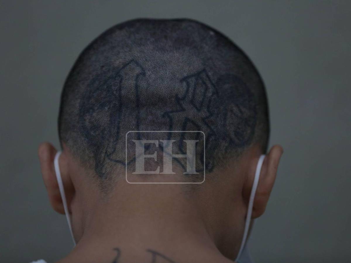 Pandilla 18 y MS-13: ¿Cuáles son los grupos criminales sancionados bajo el Escudo de las Américas?