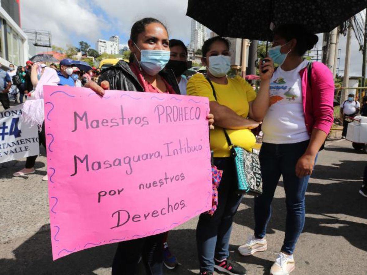 Con más de L 428 millones será financiado régimen para Proheco