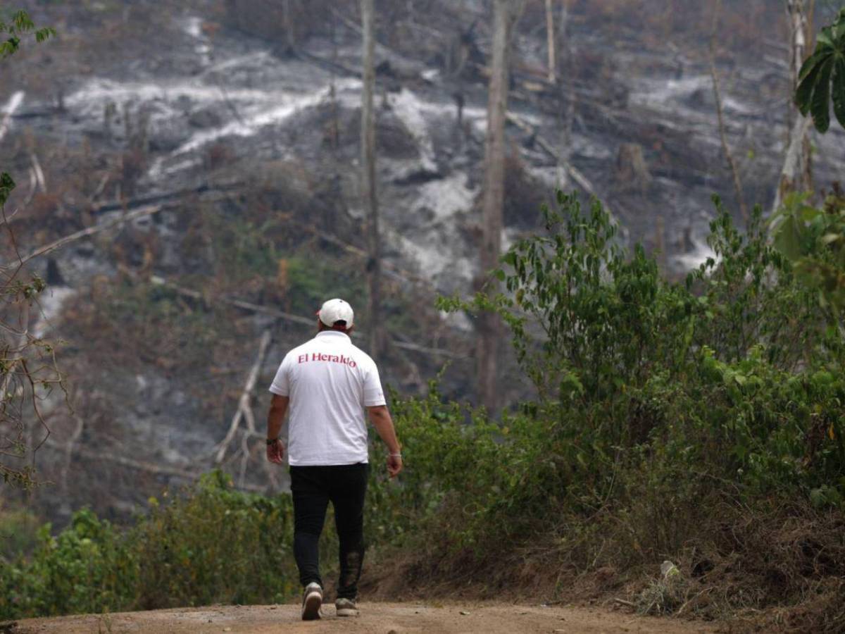 Sicarios de Támara, túneles y narcotráfico: las 10 investigaciones de EL HERALDO