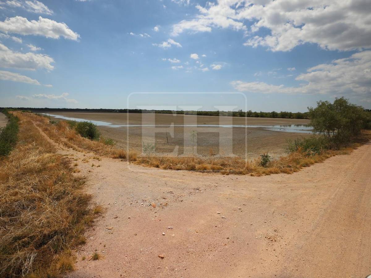 Sin trabajo, sin futuro: crisis en camaroneras golpea a familias en el sur de Honduras