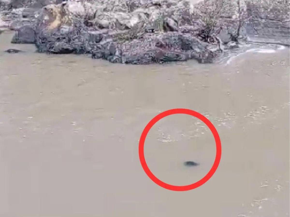 Pareja de la abuela, principal sospechoso del rapto de la niña en Amarateca