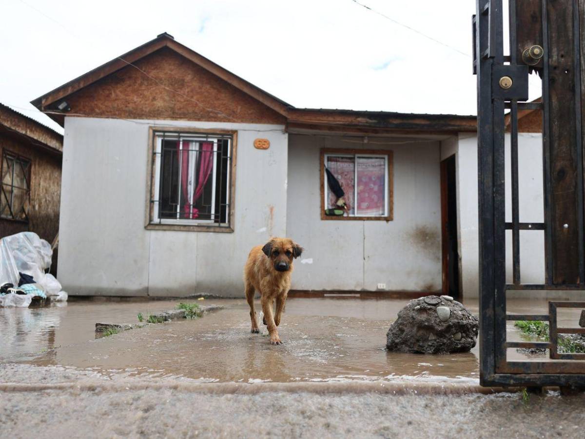 Lluvias en Chile dejan un fallecido y mantienen en alerta a varias comunas