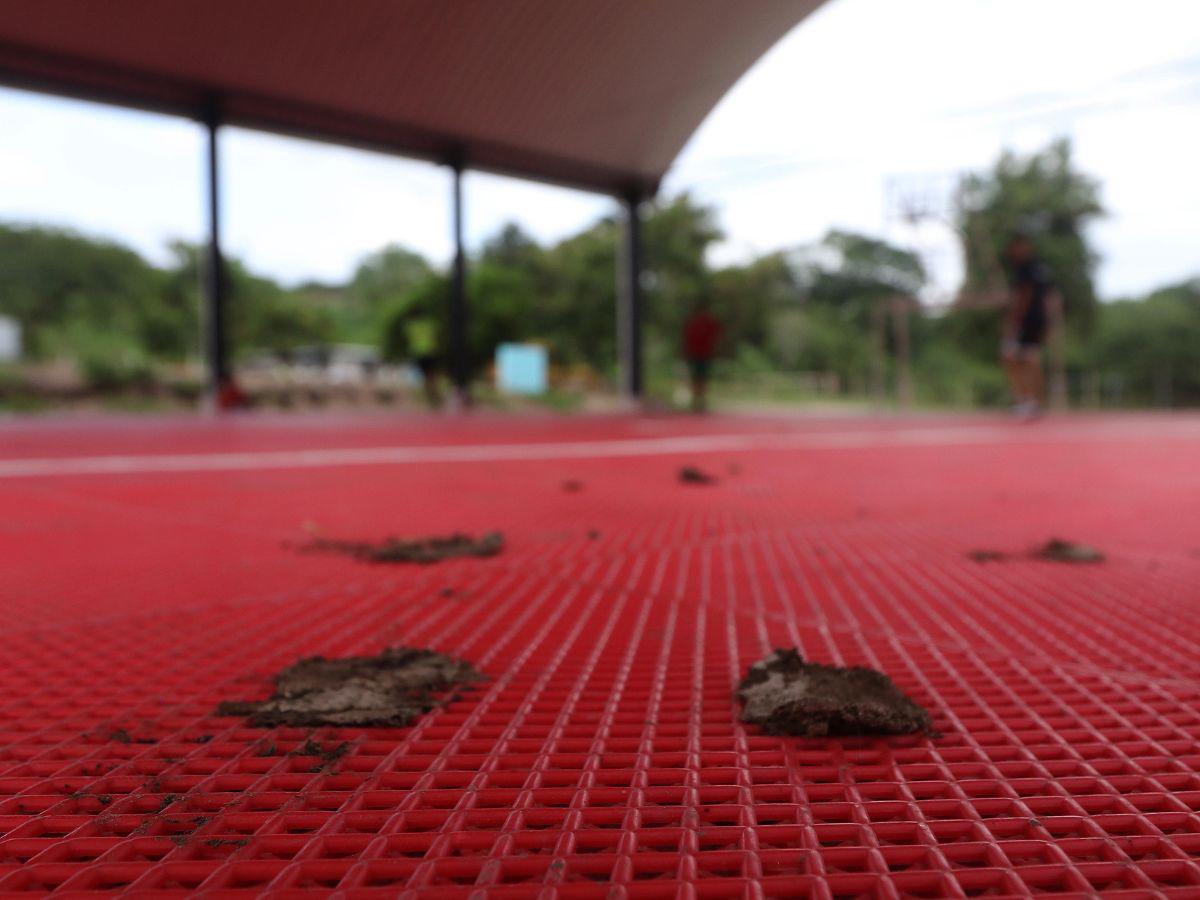 $!Moncada también se molestó porque la Unidad Investigativa de EL HERALDO Plus mostró que algunas canchas están llenas de estiércol de vacas, pese a que la duela que le instalaron cuesta más de 1.1 millones de lempiras.