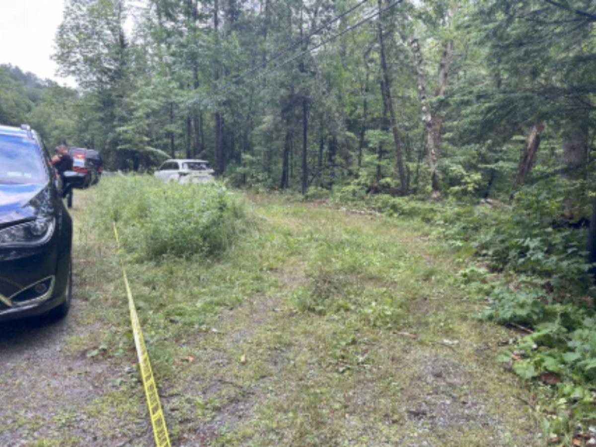 Caso Melina Frattolin: hallan muerta a niña de 9 años; presentan cargos contra el papá