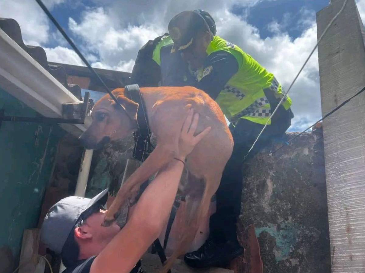Josué Esperanza: el policía municipal que conmovió a Honduras en el Caso Zeus​​​​