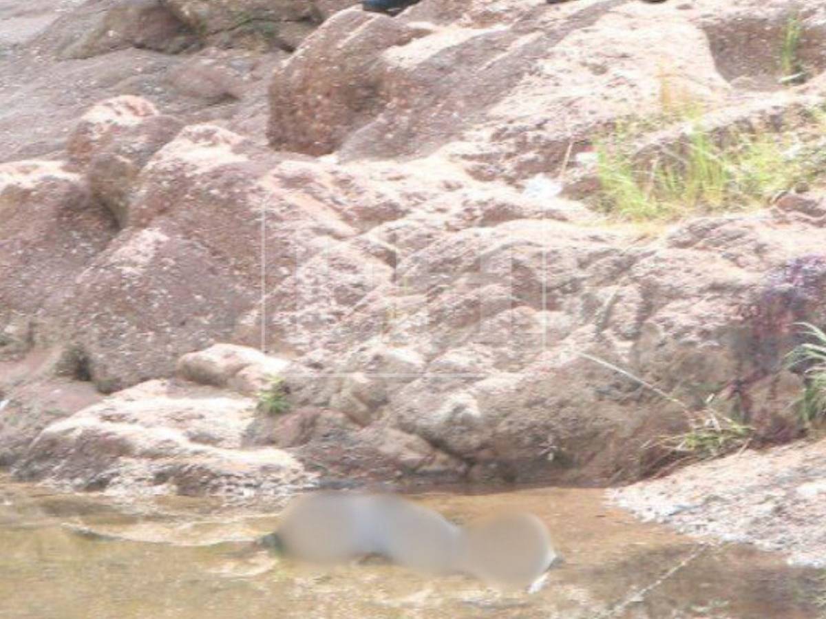 ¿Por qué fue asesinado Jefry Gómez, hallado muerto tras volver de una cena navideña?