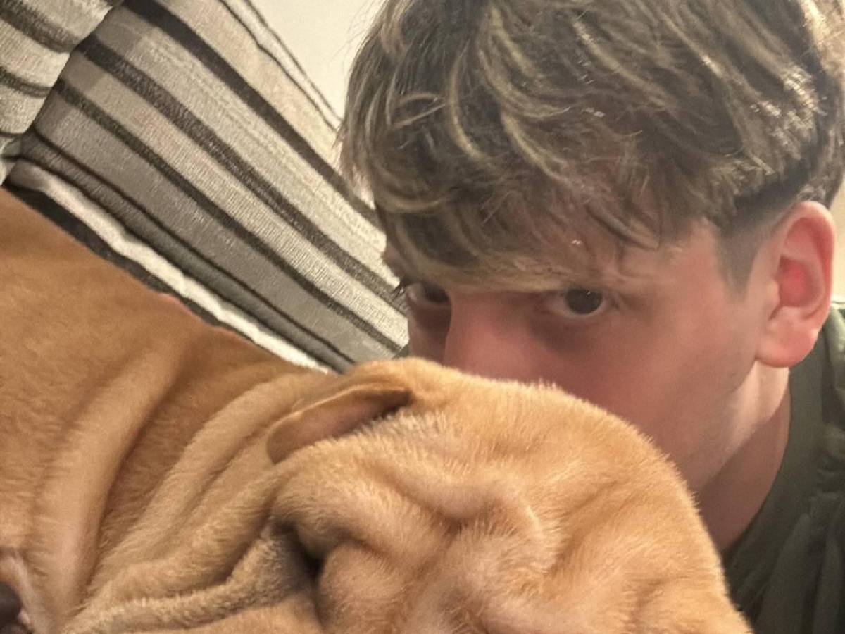 Influencers son detenidos en EE UU por cometer grave delito en el Mundial 2026: Enfrentan pena