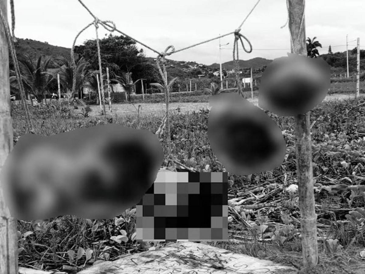 Policía de Ecuador encuentra ocho cabezas humanas en dos sacos