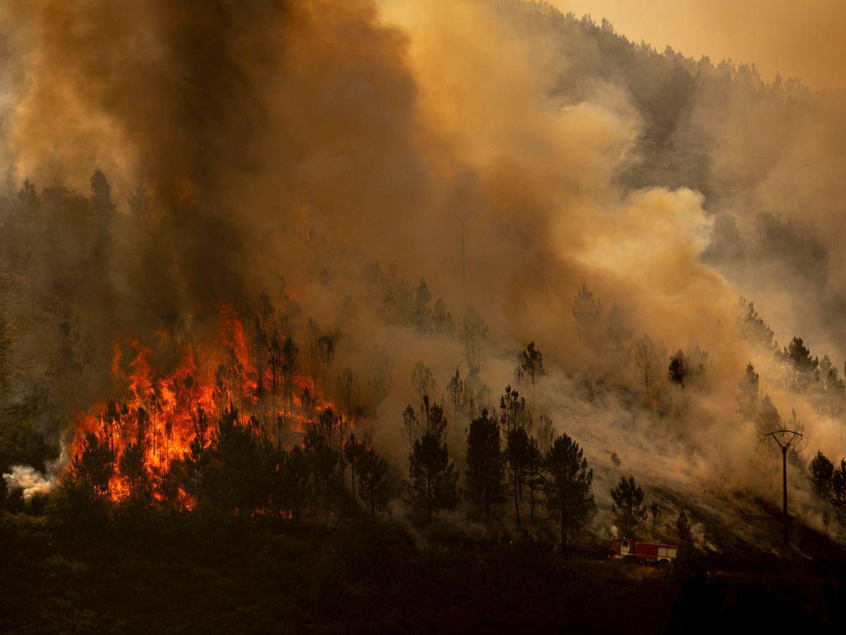 Incendios en España: miles evacuados y cientos de hectáreas quemadas