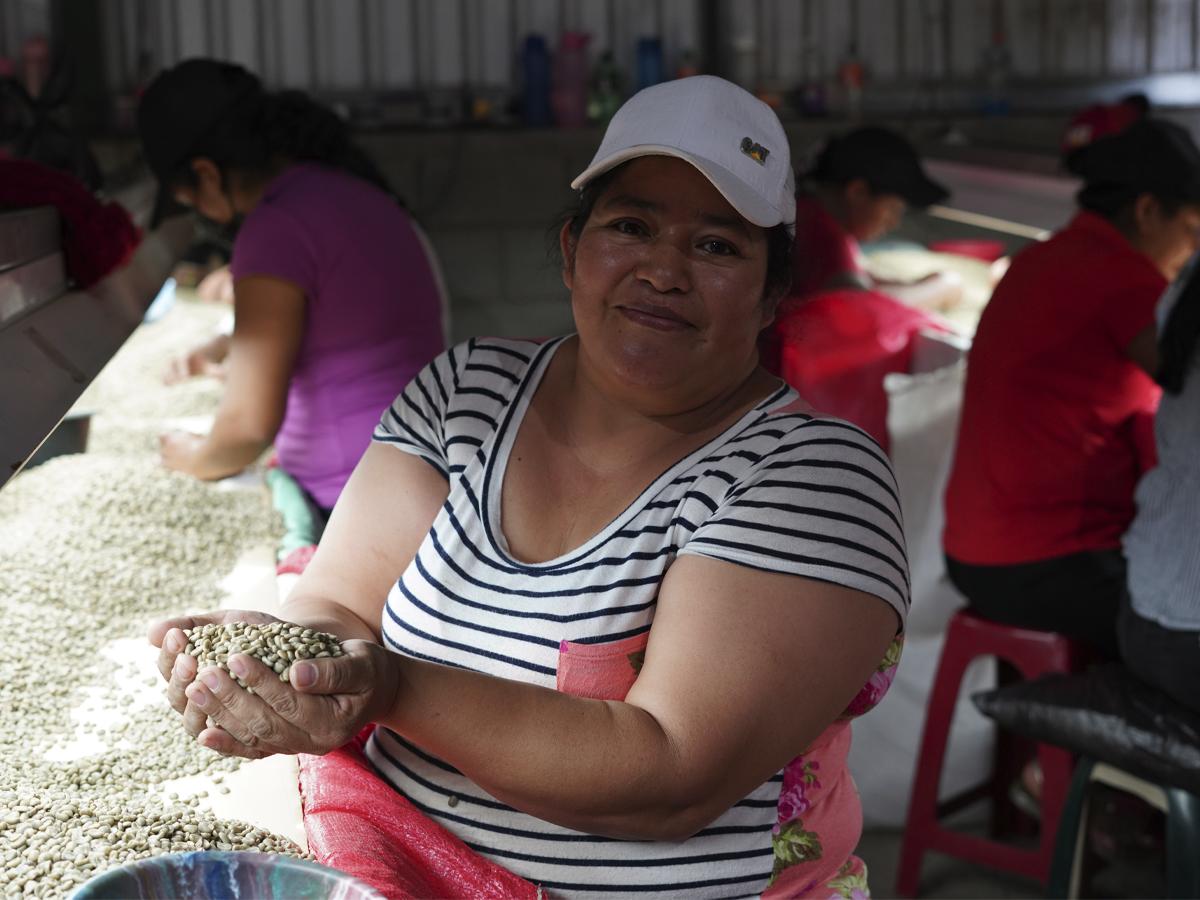 Caficultura en Honduras es beneficiada gracias a USAID a través de su Programa “Agronegocios Sostenibles”