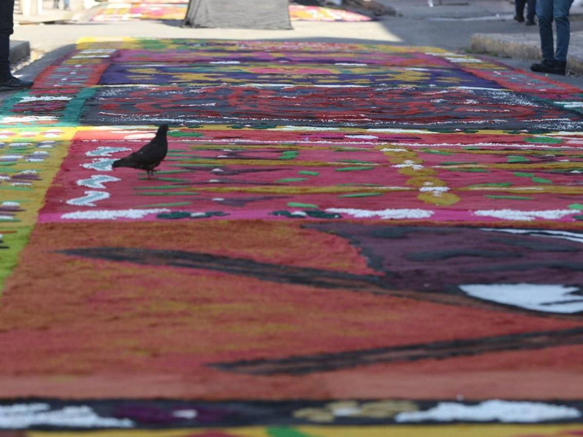 Ultiman detalles en alfombras para Vía Crucis en centro de Tegucigalpa Ultiman detalles en alfombras para Vía Crucis en centro de Tegucigalpa