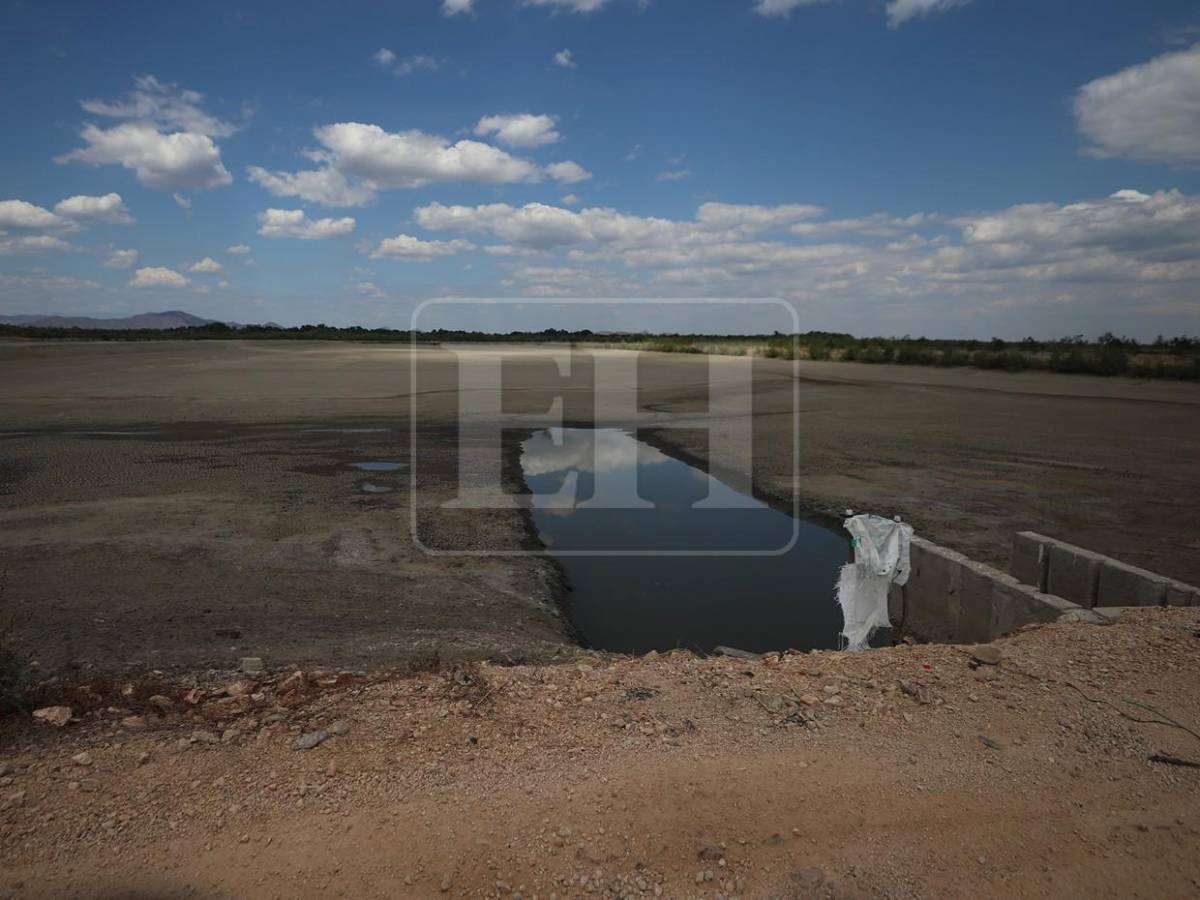 Sin trabajo, sin futuro: crisis en camaroneras golpea a familias en el sur de Honduras
