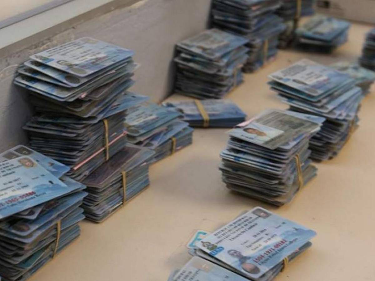 El fraude de las licencias: así habrían desviado millones Juan Ramón Molina y Liana Mayorga