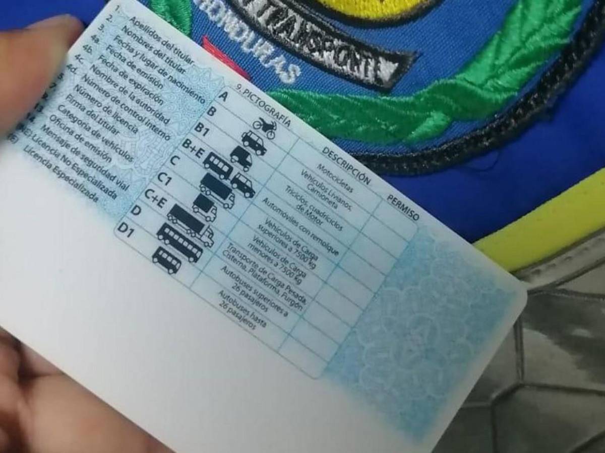 El fraude de las licencias: así habrían desviado millones Juan Ramón Molina y Liana Mayorga