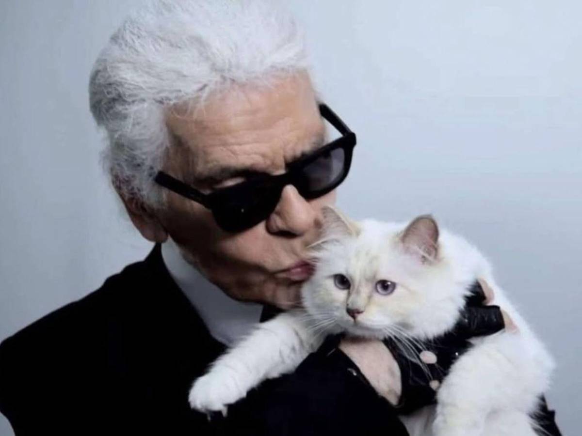 Choupette, la gata de Karl Lagerfeld, aún no recibe su millonaria herencia