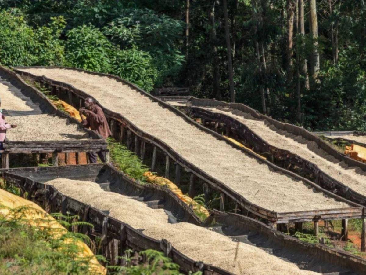 ¿De qué se trata? El negocio que iniciaron Falcao y Ter Stegen en Honduras