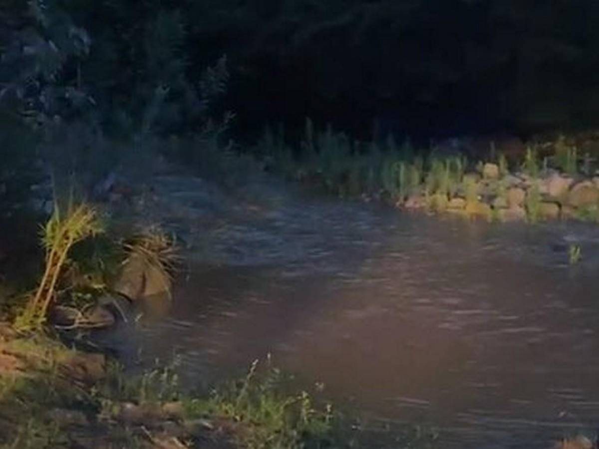 Hoy hallaron una pierna: sigue búsqueda de desmembrado en montaña de Azacualpa