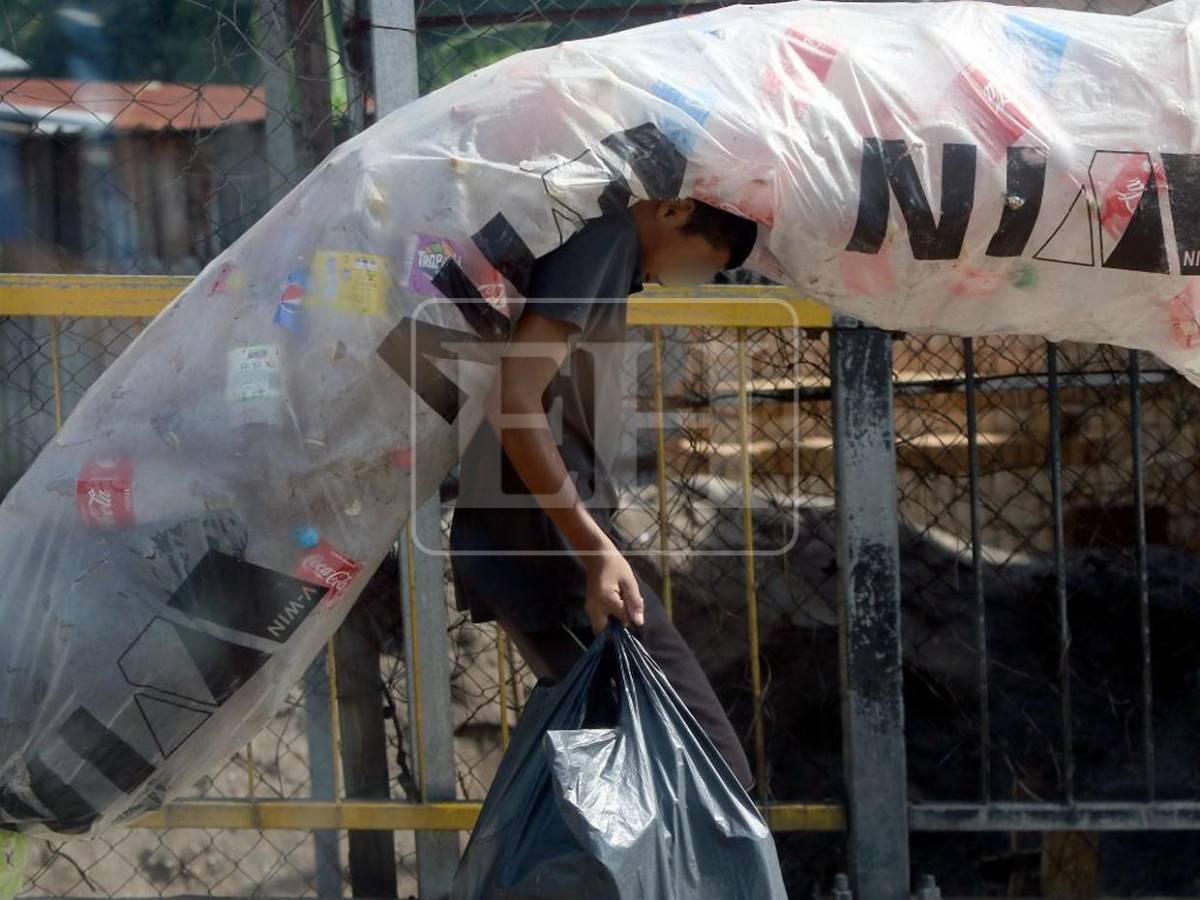 4 de cada 10 menores que trabajan tienen entre 5 y 9 años: las crudas cifras del trabajo infantil en Honduras