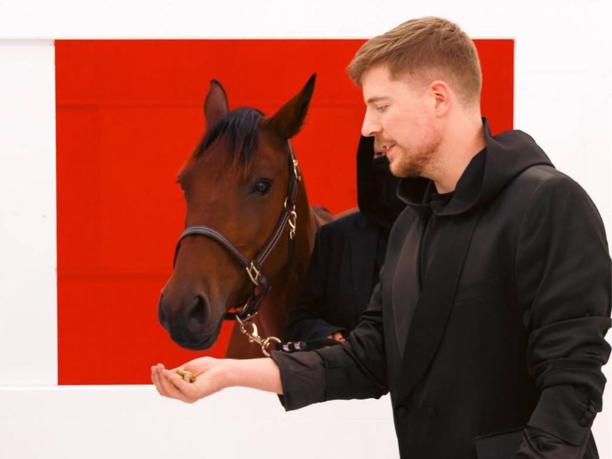 MrBeast revela cuál es el negocio que lo está haciendo multimillonario