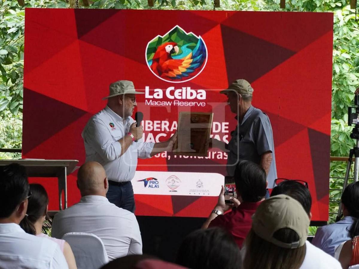 Guacamayas rojas surcan los cielos de La Ceiba, tras más de 60 años de ausencia