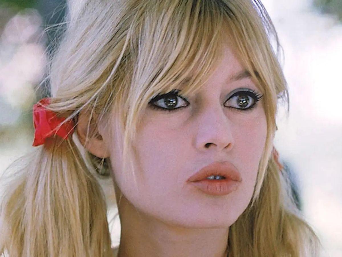 Antes y después de Brigitte Bardot: del ícono del cine a defensora de los animales