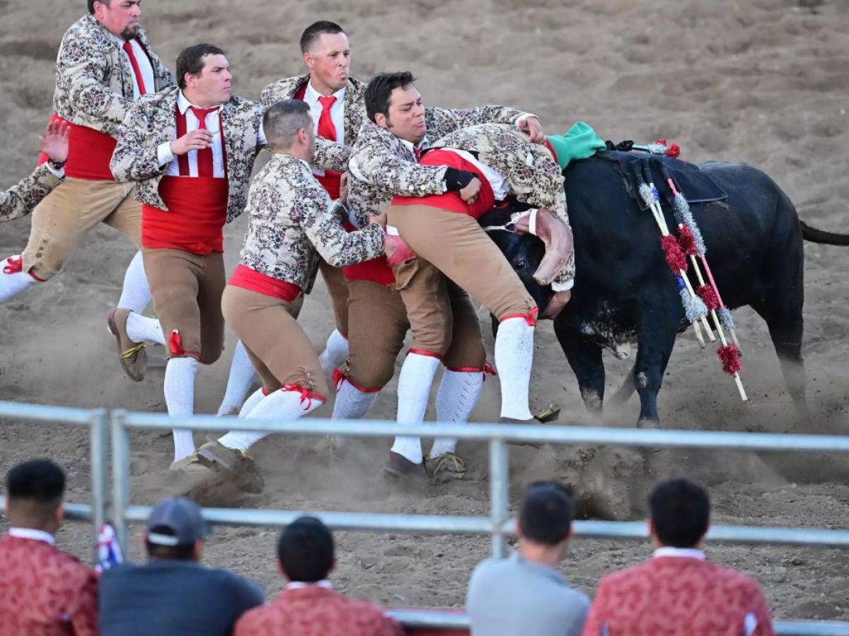 Sin sangre: California adapta la tradicional corrida de toros de España
