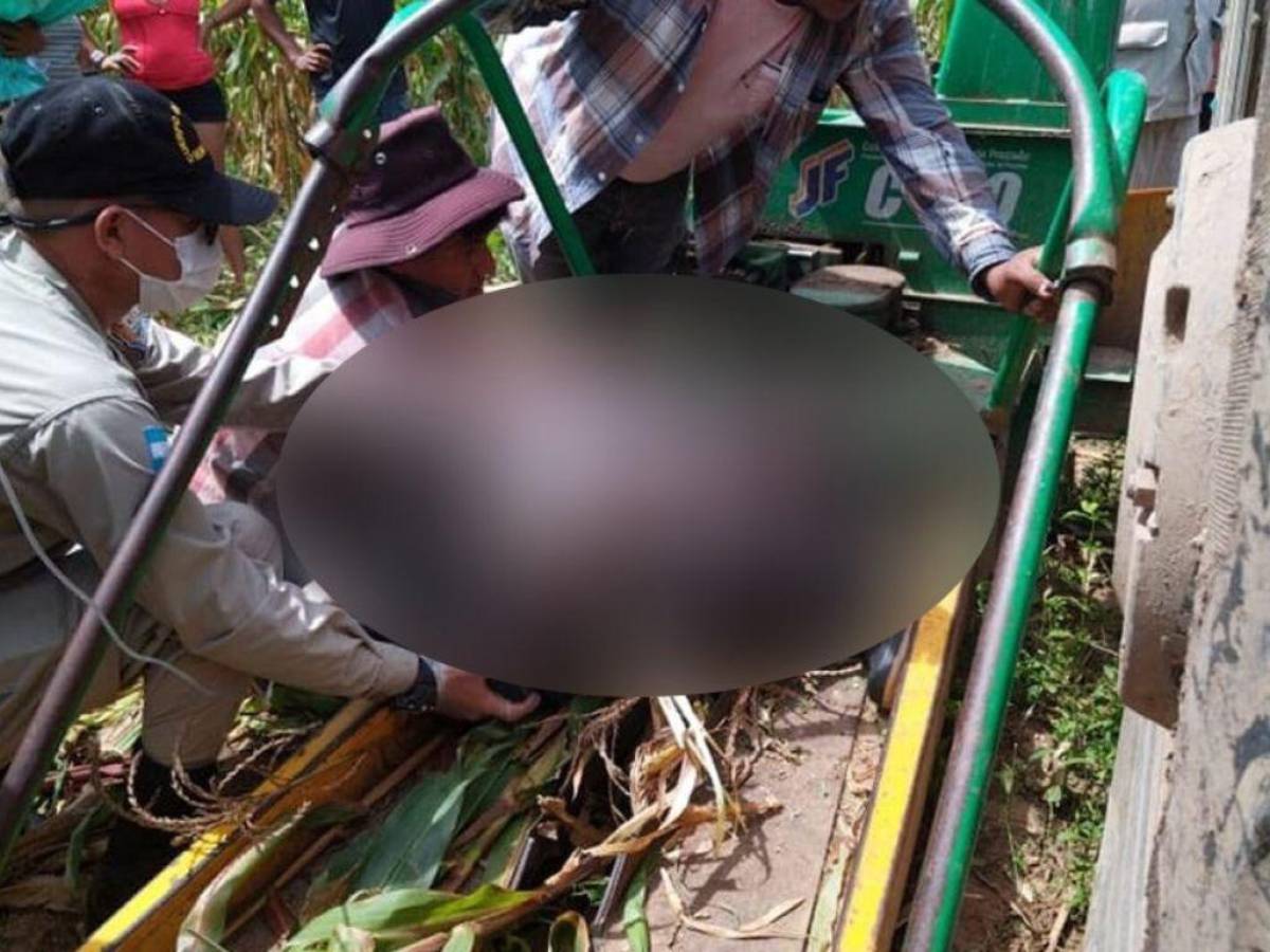 Menor casi muere triturado por máquina picadora de maíz en Juticalpa