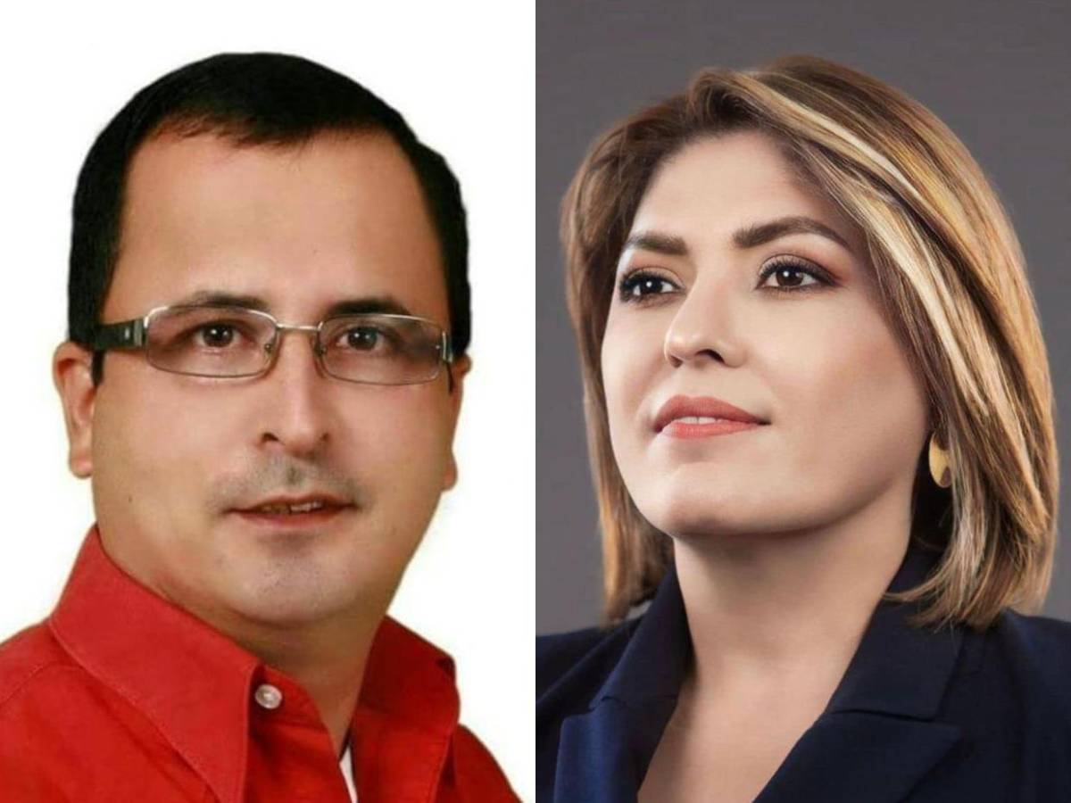 Diputados de Libre que buscan ser reelectos en las primarias del 9 de marzo