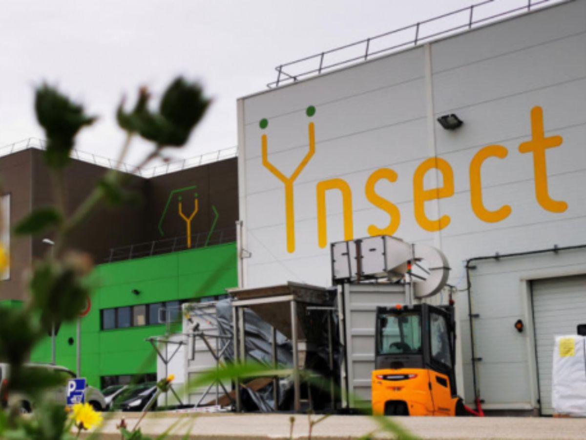 Empresa francesa de comida a base de insectos tendrá nuevas franquicias en Estados Unidos y México