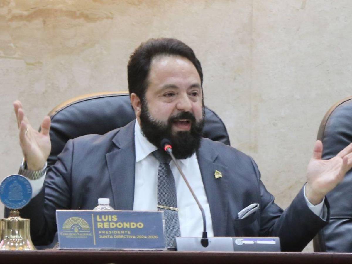 Los diputados con más años en el Congreso y se reeligen en 2025; uno tiene más de 20