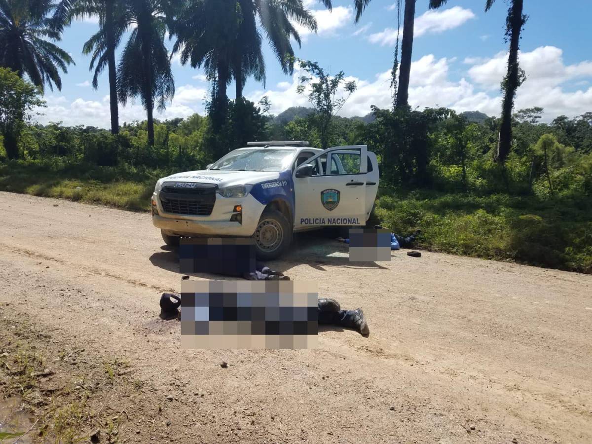 Hasta el momento se desconoce qué fue lo que sucedió en el lugar, y quiénes están detrás de sus muertes.