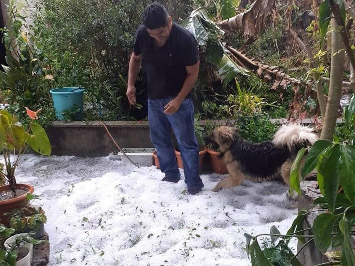 Es una gran decepción: tormenta de granizo causa estragos en cultivos de Intibucá