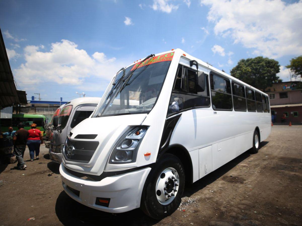 Las estimaciones preliminares indican que unas 350 unidades nuevas podrían ser parte de la flota de transporte urbano en el Distrito Central.