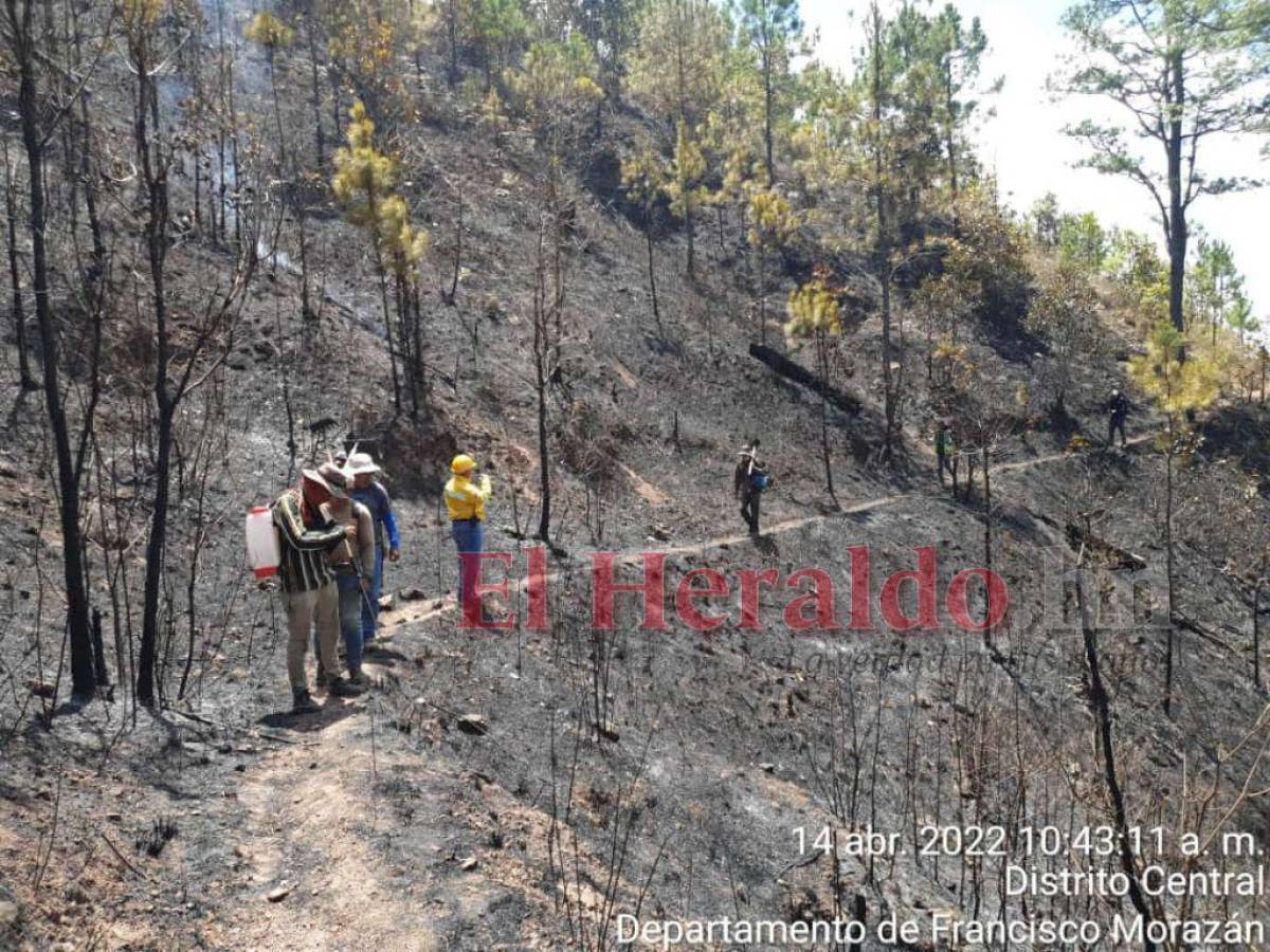 Más de 130 personas combaten incendio forestal en La Montañita