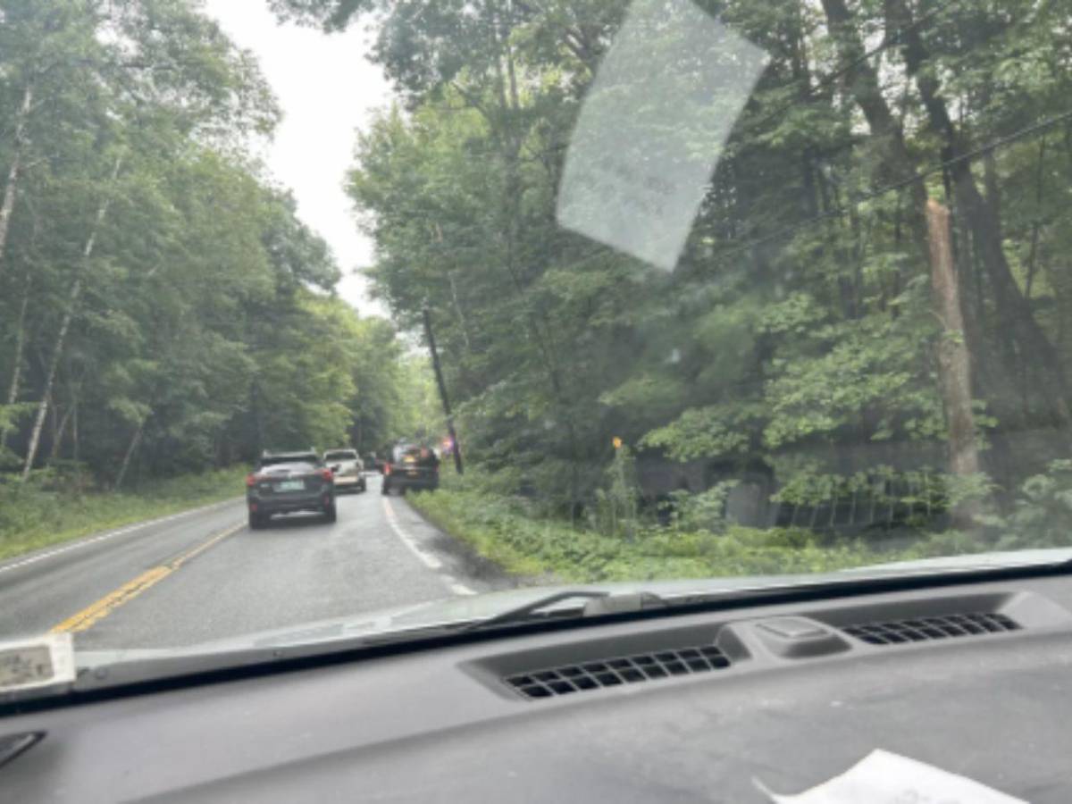 Caso Melina Frattolin: hallan muerta a niña de 9 años; presentan cargos contra el papá