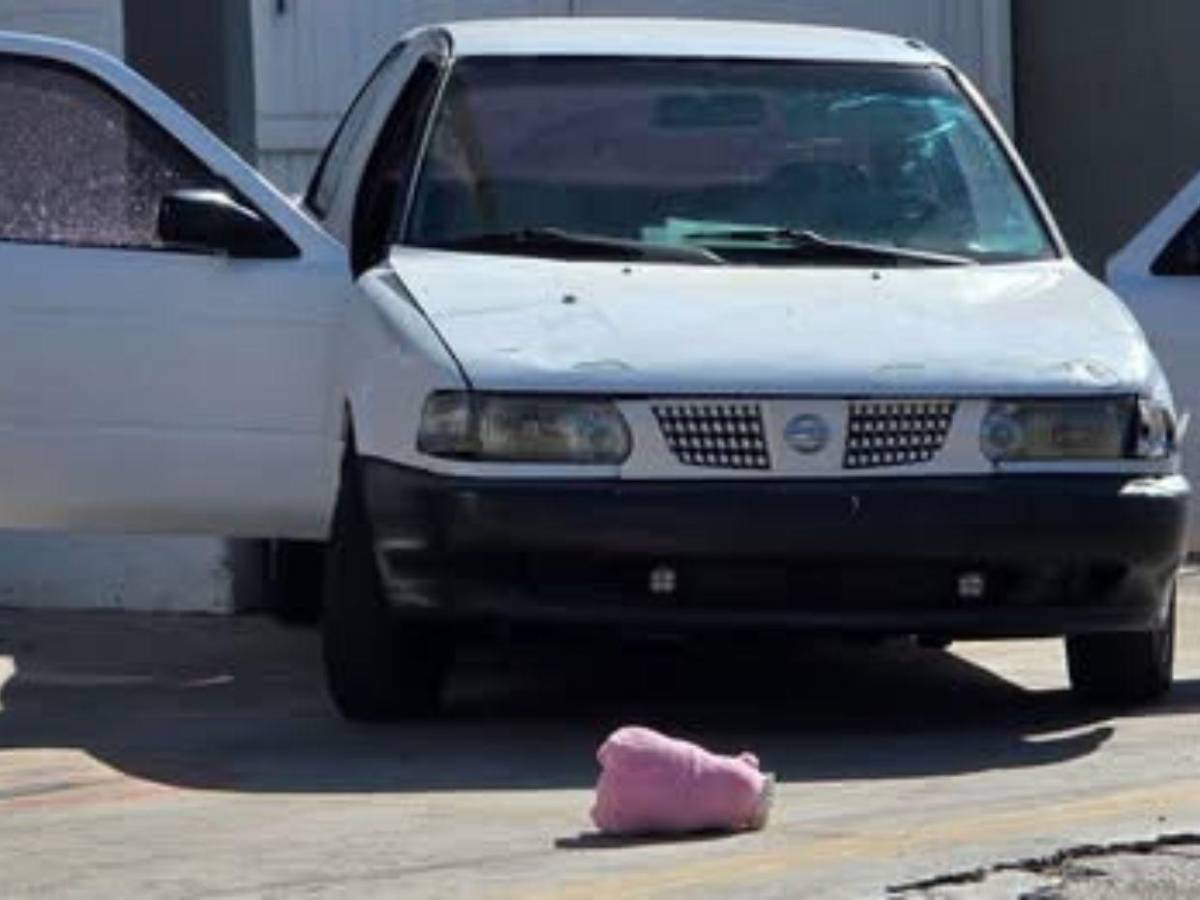 ¿Qué significan los cerditos rosa en escenas del crimen en Culiacán?