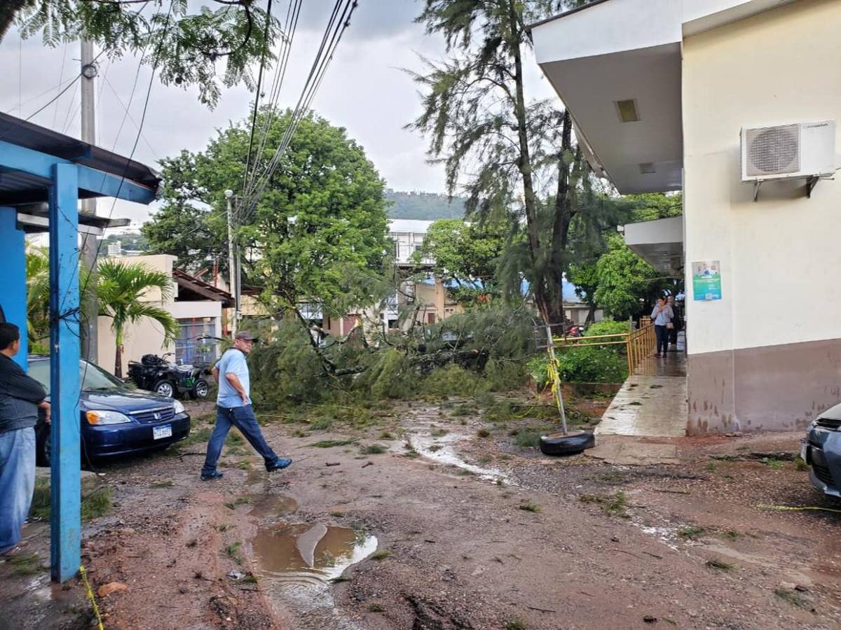 Primeras imágenes de los destrozos que dejó hora y media de lluvia en Tegucigalpa