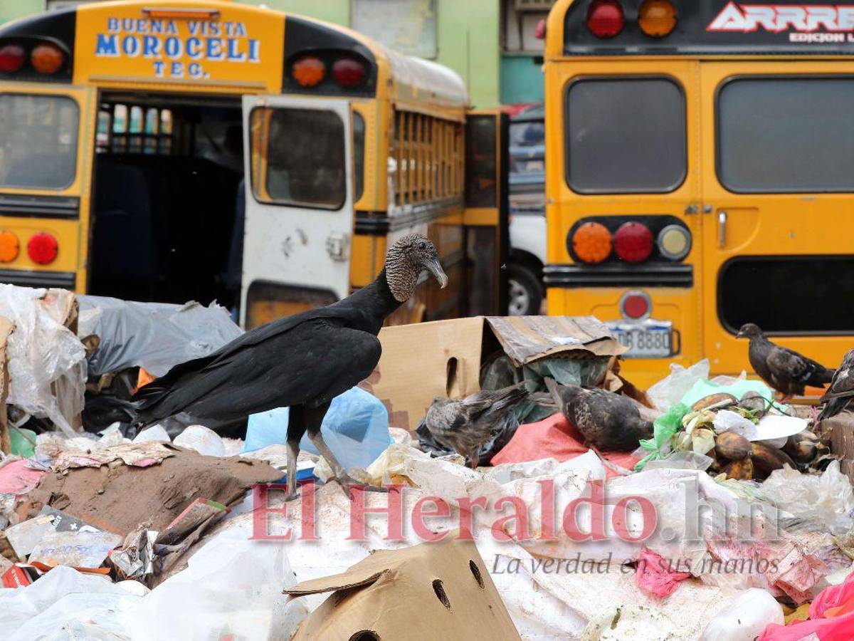 Terminales de buses son un foco de contaminación en la capital
