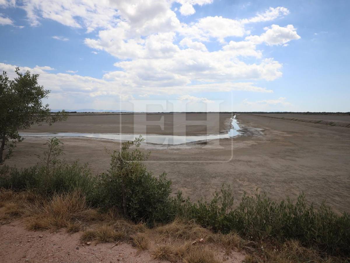 Sin trabajo, sin futuro: crisis en camaroneras golpea a familias en el sur de Honduras