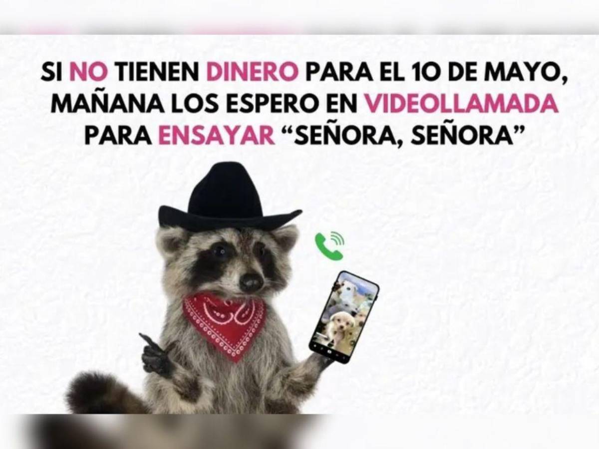 ¡Imperdibles! Los mejores memes del Día de la Madre