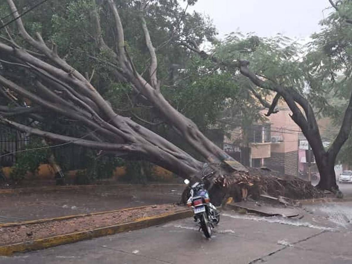 Primeras imágenes de los destrozos que dejó hora y media de lluvia en Tegucigalpa