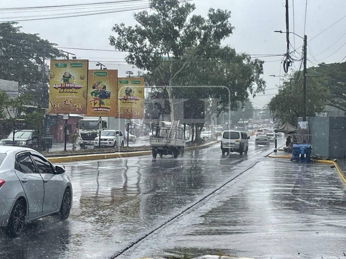 Inicio de semana fresco: Llueve sobre la capital este lunes