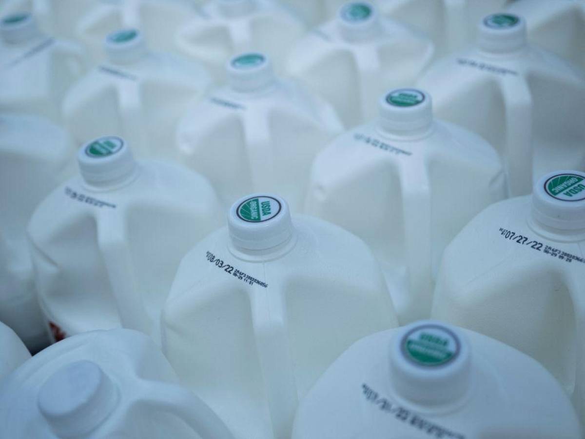 Aterrizan en EEUU 31 toneladas de latas de leche en polvo para combatir la escasez
