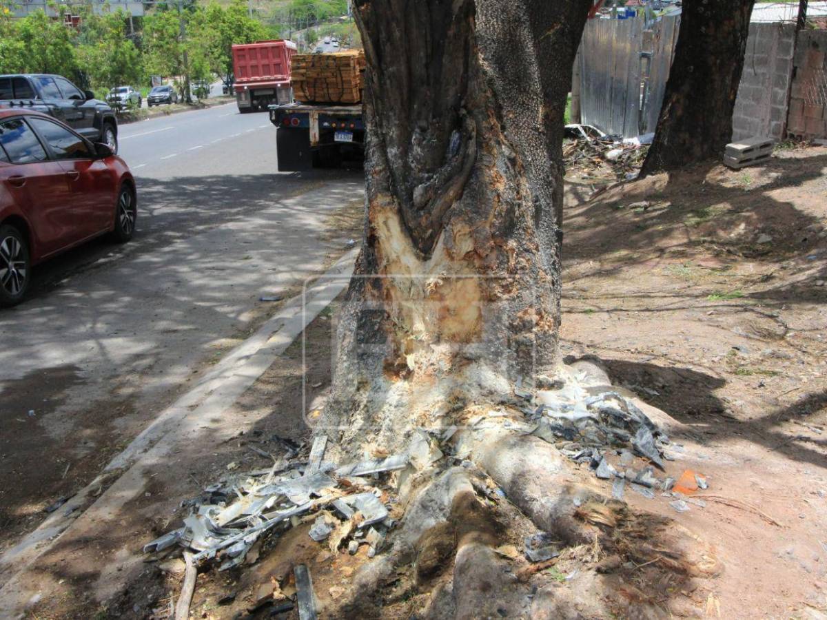 Solo escombros: la escena del accidente donde Hernán Martínez perdió la vida