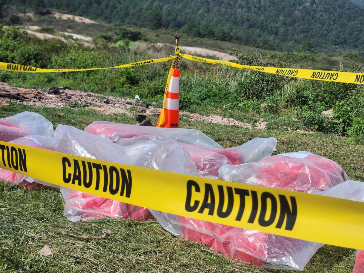 Autoridades incineran 239 kilos de cocaína y 742 libras de marihuana