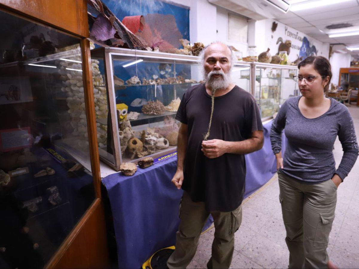 Una aventura por el mundo de los fósiles que permite comprender la naturaleza