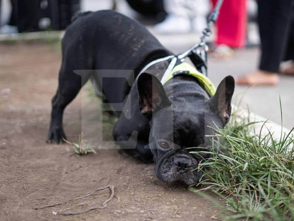 Imágenes inéditas: Así fue la salida de Julián Martínez para unirse a su nuevo equipo en Portugal