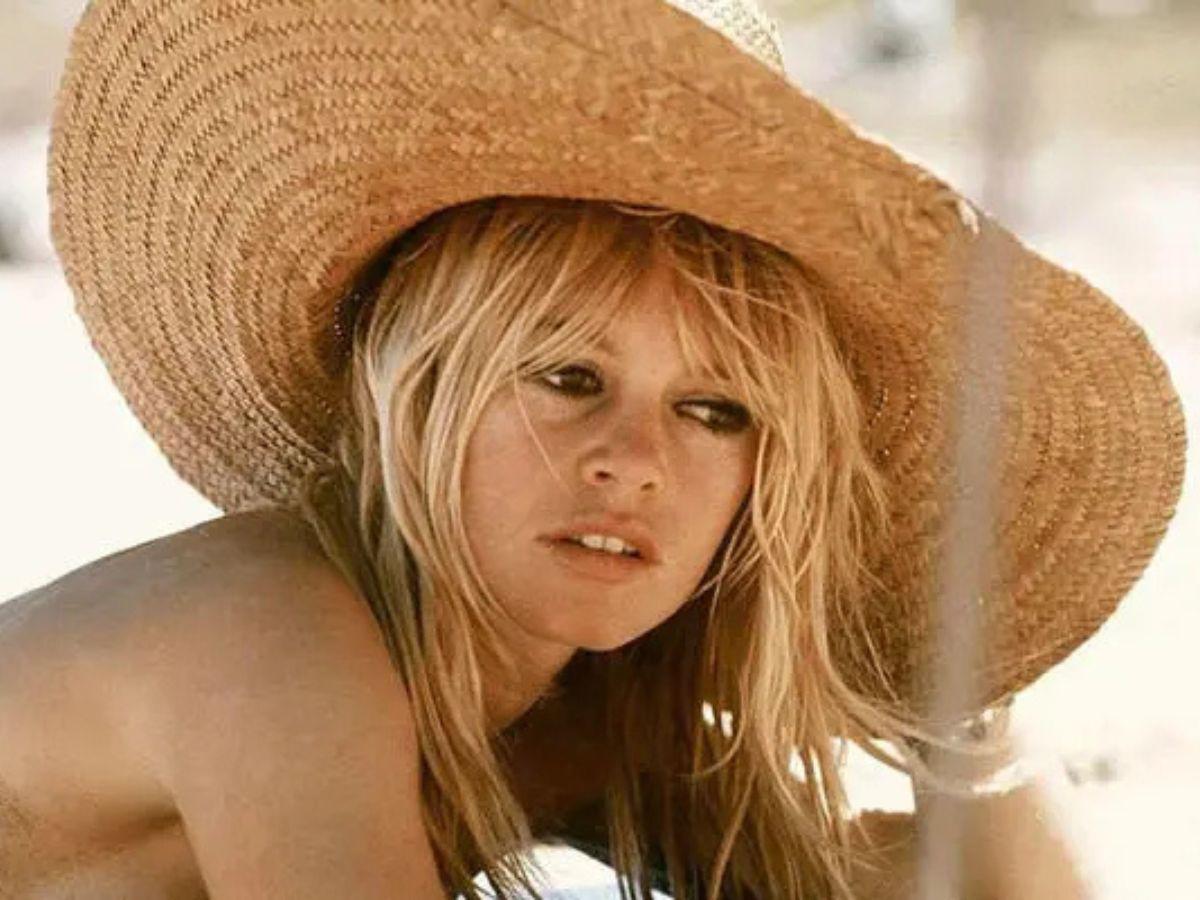 Antes y después de Brigitte Bardot: del ícono del cine a defensora de los animales