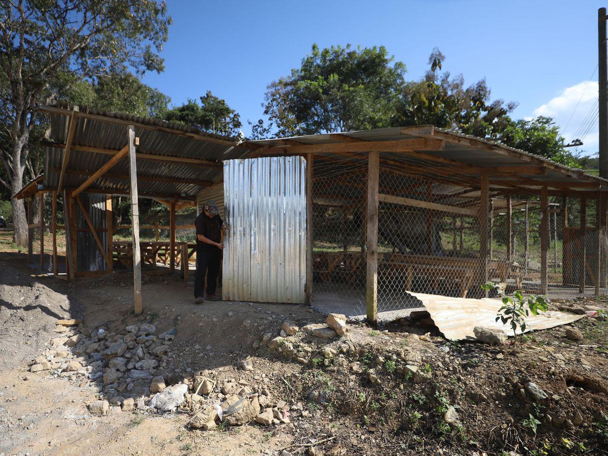$!Esta es una de las aulas donde los menores reciben clases, pese a que les quitaron tres maestros.